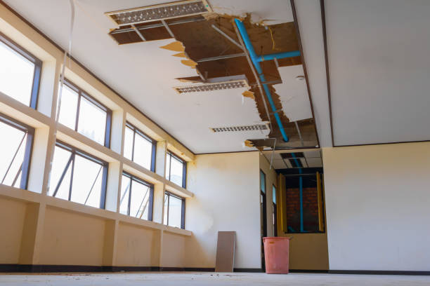 Best Water damage restoration services  in Hobart, IN