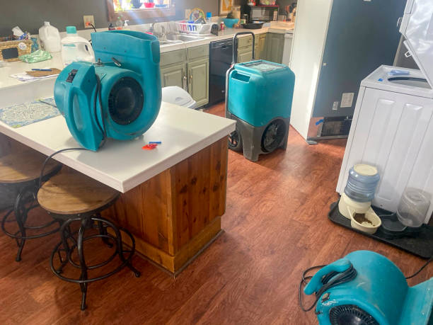  Hobart, IN Water damage restoration Pros
