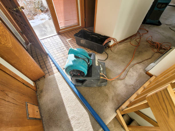 Water damage restoration process in IN