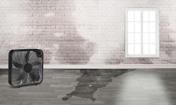 Best Sewage cleanup and water damage restoration  in Hobart, IN