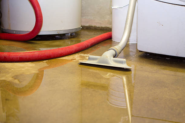 Best Flooded house restoration  in Hobart, IN