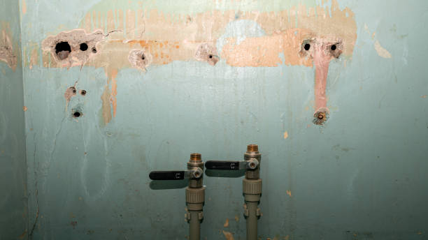 Best Water damage restoration near me  in Hobart, IN