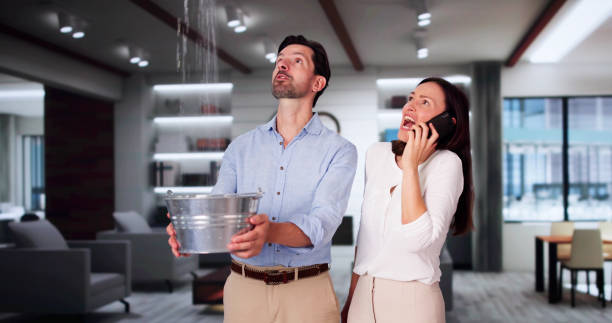 Best Professional water damage repair  in Hobart, IN