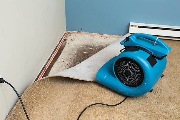 Local water damage restoration in IN